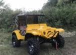 4seats ATV with CE Certification Gasoline Mini Jeep 320cc ATV, Powersport Vehicles, ATV image 3