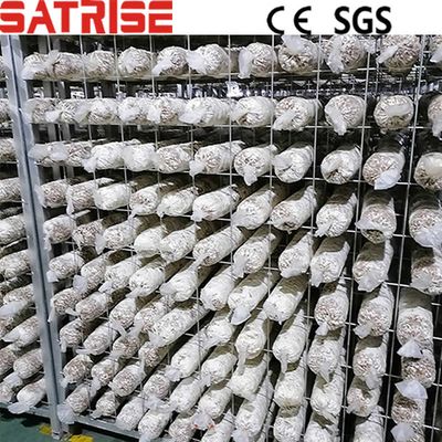 Easy Installation Mushroom Growing Rack Shiitake Mushroom Fruiting Shelves, Mushroom Growing Shelves, Mushroom Fruiting Shelves image 2