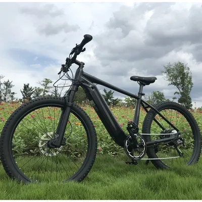 Mountain Bike 48V250W Hybrid Mountain Electric Bike, Electric Bike, Bicycle