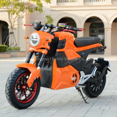 2023 Lithium/Lead Acid Battery Electric Motorcycle M6 Electric Bike EEC, Electric Motorcycle, Electric Bike image 2