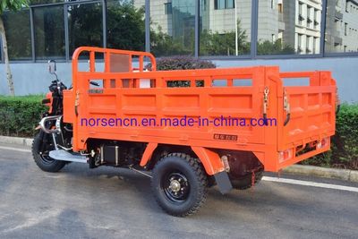 Three/3 Wheel Gasoline Motor/Motorcycle Tricycle with Cargo Box A5 250cc 7, Tricycle, Motorcycle image 5