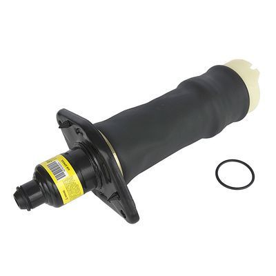 Audi A6 C5 Auto Parts Rear Air Suspension Spring 4z7513032A 4z7616052A Made in China, Car Parts, Auto Parts image 3