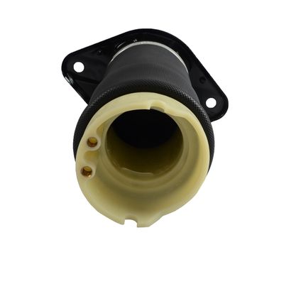 Audi A6 C5 Auto Parts Rear Air Suspension Spring 4z7513032A 4z7616052A Made in China, Car Parts, Auto Parts image 6
