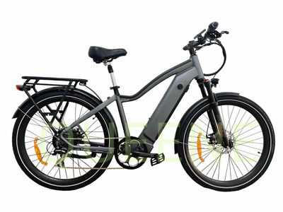 Queene 48V 350W500W750W Latest Model Fat Tire Electric Bicycle Lectrique Electric Mountain Bike MTB, Electric City Bike, 1000W Electric Bike image 2