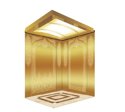 Vvvf Drive Home Passenger Elevator Lift, Elevator, Home Lift image 3