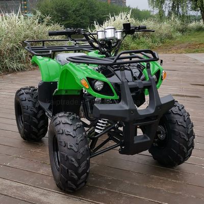Quad Bike 4*4 250cc ATV with Oil Motor for Sale, ATV 4X4 800cc, ATV 300 image 6