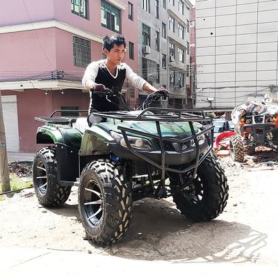 Engine Tires 8X8 Elettrico Gearbox Transmission with Plow Quad electric 14 Inch 3000W 350cc 500cc All Terrain Tracked ATV, ATV 800cc 4X4, ATV Trailer image 3
