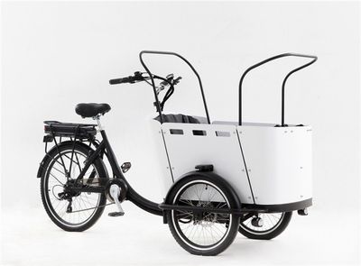 3 Wheels Electric and Pedal Type Cargo Bicycle for Kids, Cargo Tricycle, Cargo Bike image 3