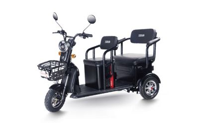 48V/60V Electric Tricycle with Two Seats for Old Man, Electric Tricycle, Electric Vehicle image 2