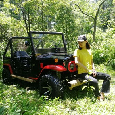 4X4 250cc Snow Plow 400 300cc Elettrici Quad Bike Swingarms with Mini Frame ATV, ATV/UTV Parts, ATV 4X4 400cc image 6