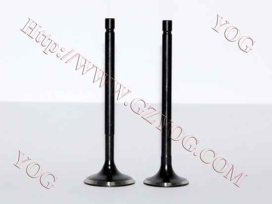 Yog Motorcycle Spare Part Engine Parts Valve for CD110, Gl150, Tvs Hlx125 image 5