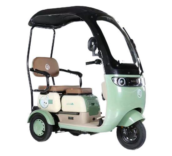 Closed Electric Trike, Vehicle, Bicycle, Bike, Motorbike, Rickshaw, Leisure Tricycle, Three Wheel Motorcycle with Cabinet image 3