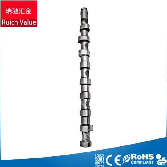 Peugeot Engine Spare Parts Camshaft for Engine 206 307 Dw10dt Dw10 OEM 0801. T5 Boxer 2.5tdi/1.4HDI/307 2.3/G4ea/505/504