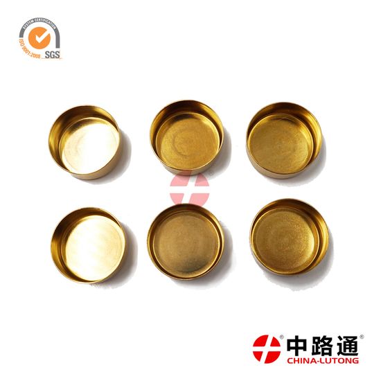 Ve Bosch Injector Pump Seal Kit 2 417 010 021 Diesel Injector Pump Suppliers image 5