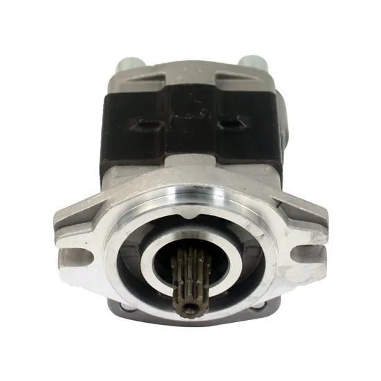Hydraulic Gear Pump Xf250-601100-000 for Hangcha Xf250 Forklift Spare Parts