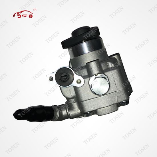 Car Spare Part Hydraulic Power Steering Pump B4911041700 for Volkswagen VW Auto Parts image 6