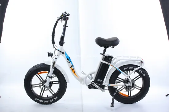 Electric Bicycle Electric Bike OEM Factory High Power Fat Tire Motor E Bike Electric Bicycle