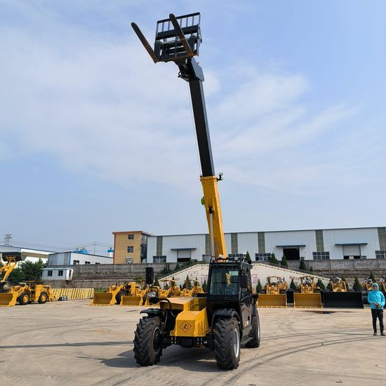 Taian Daiyue Chinese Compact 3 Ton Boom Loader Telescopic Wheel Loader Handler image 4