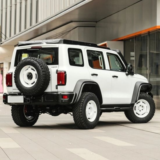 Tank 300 2023 Model 2.0t Iron Rider 02 SUV Car for Sale image 3