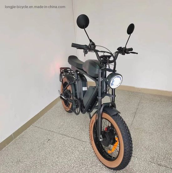 Powerful Long Range 1000W*2 Dual Motor Electric Fat Bike with Triple Battery image 3