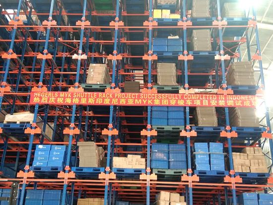 Pallet Rack Radio Shuttle Racking Warehouse Storage Solution image 6