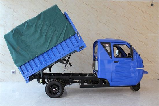 Three Wheelers Motorcycle Electric Cargo Tricycle Auto Rickshaw Passenger Wheel Motorcycle image 5