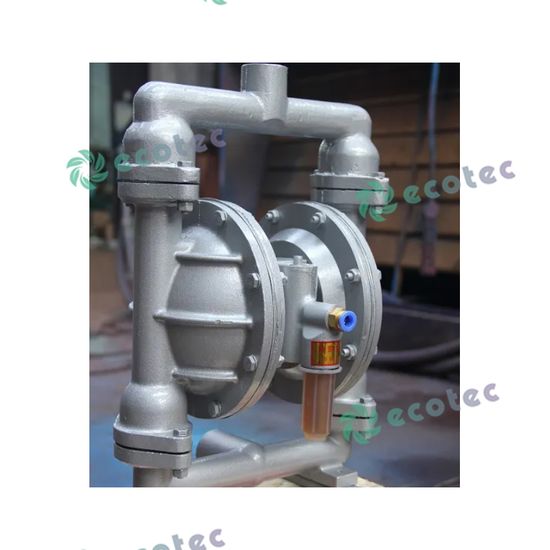 Ecotec Petrol Service Equipment Diaphragm Pump Machine for Petrol Station image 6