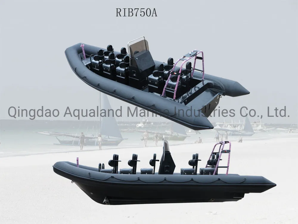 Aqualand 21.5 Feet 6.5m Rigid Inflatable Fishing Boat/Rib Diving Boat/Rescue/Patrol (rib650b)