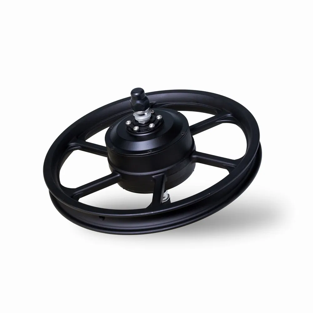 BS-90-16 36V48V 250W350W 16 Inch Geared BLDC Front/Rear Drive Integrate Electric Bicycle Wheel Hub Motor 24V