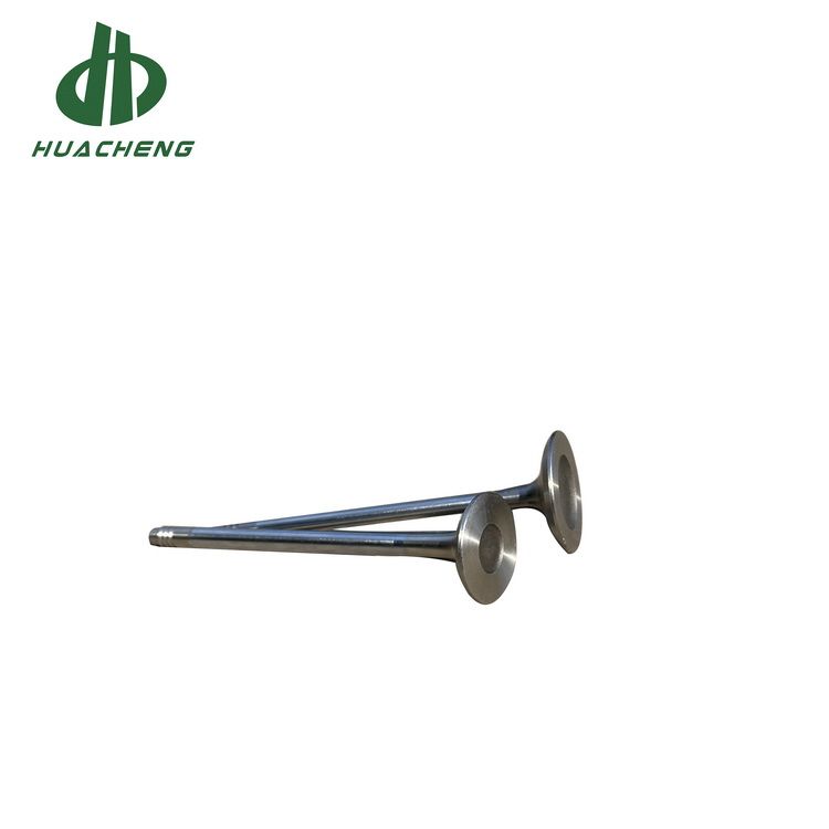 Gasoline Engine Parts Intake Valve Kit for BMW N52