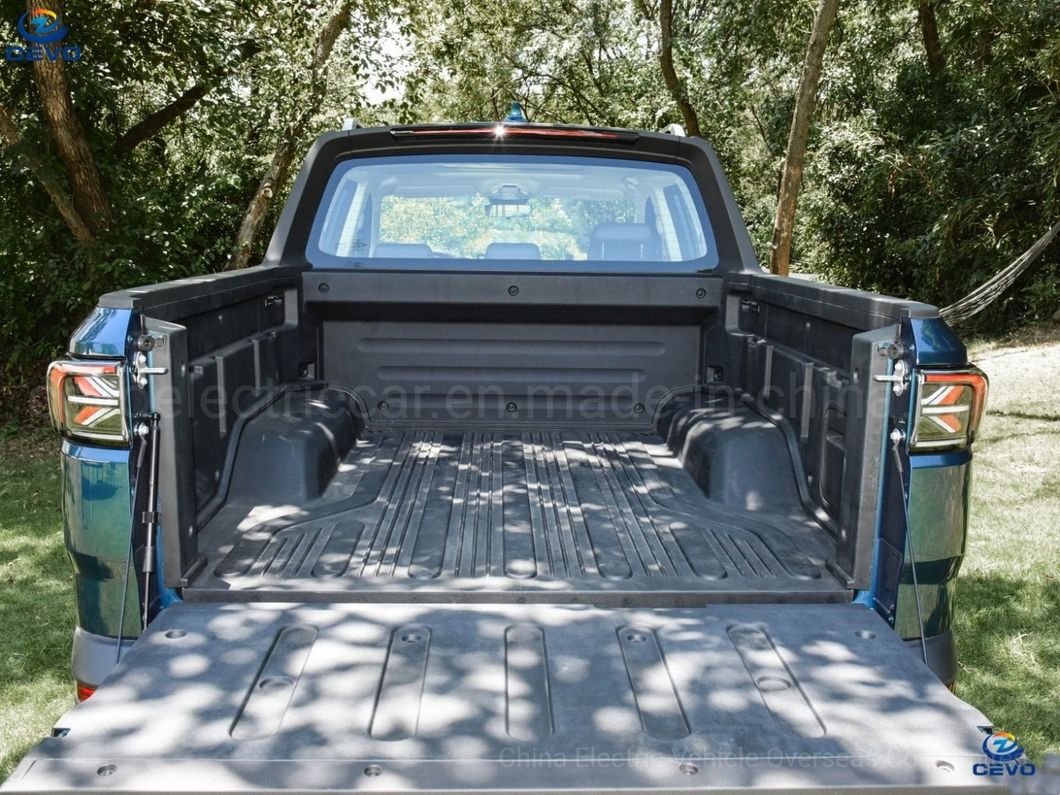 Chinese Long Range Discount EV Cheap Smart Best Mini All Electric Pickup Truck Low Cost Cheapest Geely Geometry Radar Rd6 Best Electric Pickup for Sale