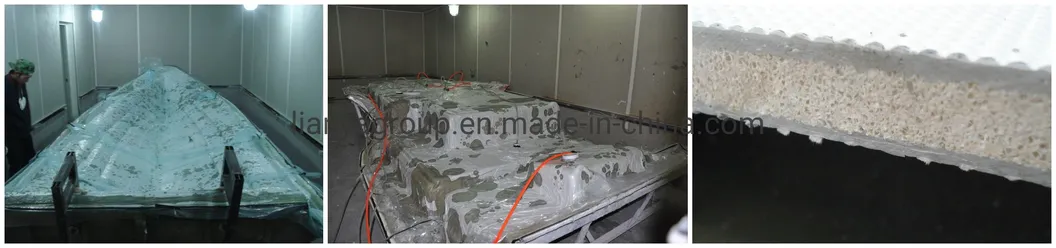 Liya 4.3m/14feet China Rib Boats with out Engine for Sale