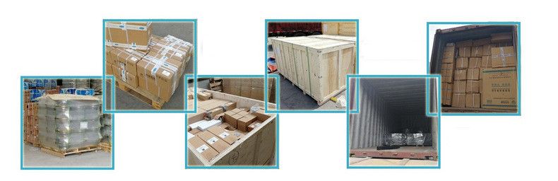 Factory Price Truck Engine Excavator Truck Diesel Fuel Filter Fs20021 Fs20019