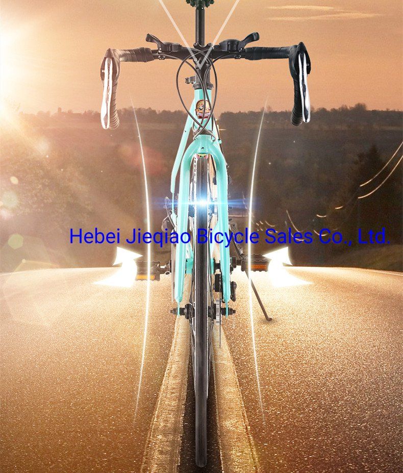 Hot Selling 21 Speed Curved Handle Wind Breaking Mountain Bike
