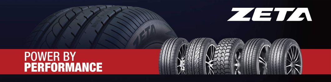 Zeta/Pace Brand Snow Ice Spike Studable Mud Van All Terrain Truck Passenger Car Tire PCR Semi Radial Winter Summer Mt at 4X4 195/65r15195/65r15205/65r15