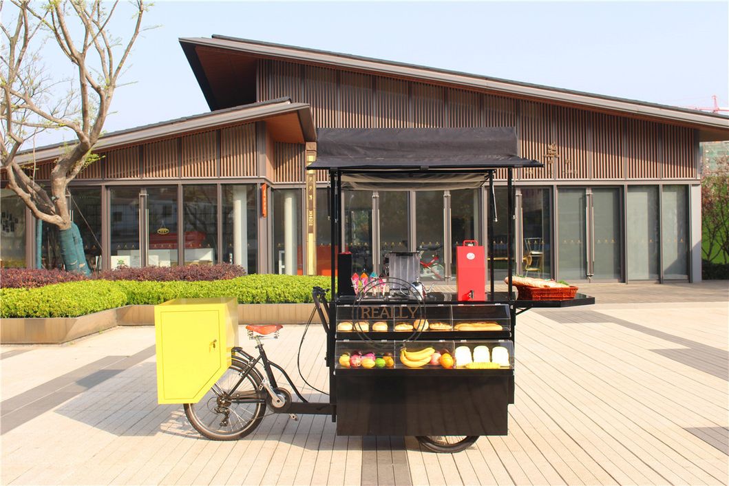 OEM Electric Adult Cargo Tricycle for Sale Food Snacks Three Wheel Pizza Delivery Bike Fast Mobile Coffee Vending Cart