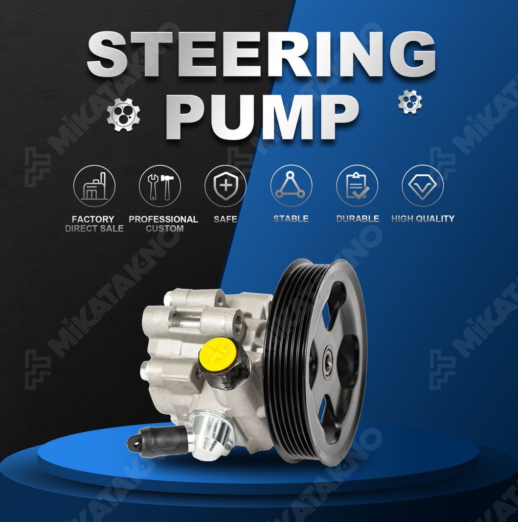 for Isuzu Dmax 4jj1-8-97946-698 High Quality Auto Spare Part Power Steering Pump