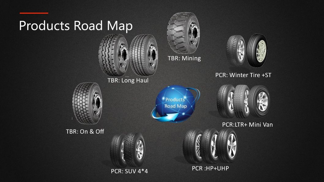 Constancy Dm373 Radial Truck Bus Tyre (11R22.5, 11R24.5)
