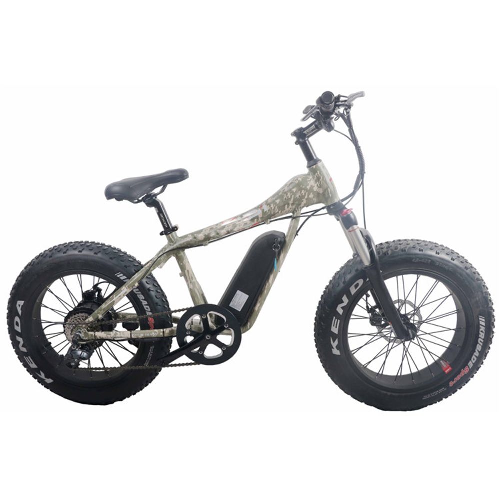 2020 Cheap Fat E Bike Electric 20 Inch 1000 W MID Made in China