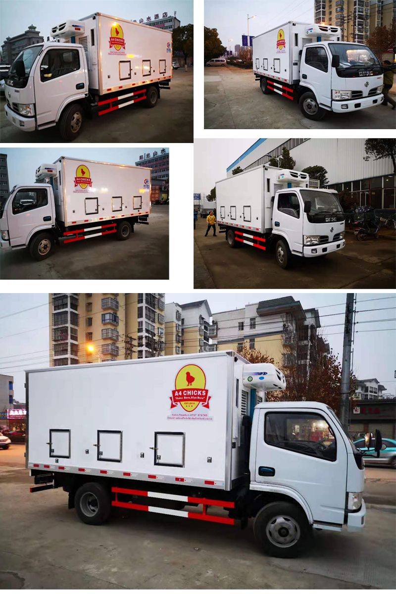 Dongfeng 3 Ton Van Chicks Transported Truck with Colling Reefer and Adjusted Temperature Freely
