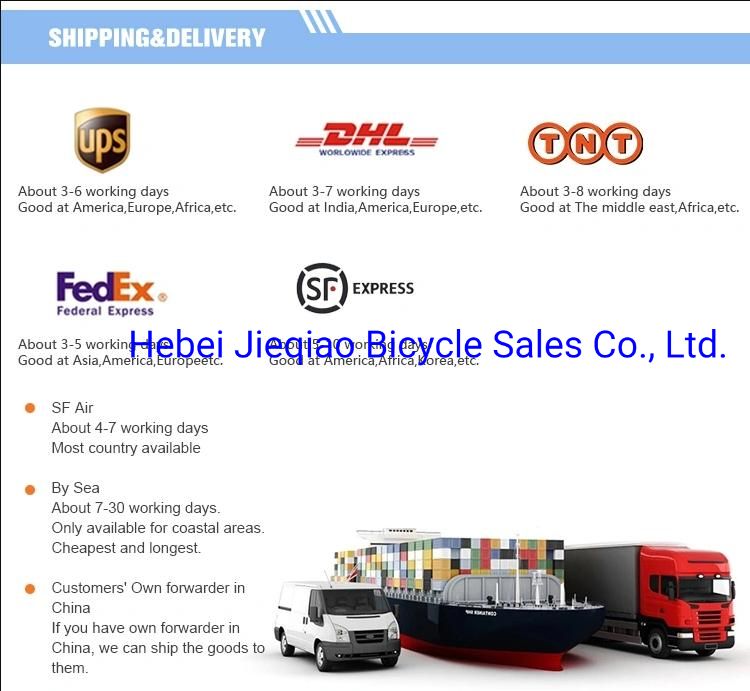 Customized Variable Speed Double Disc Brake Shock Absorption Mountain Bike