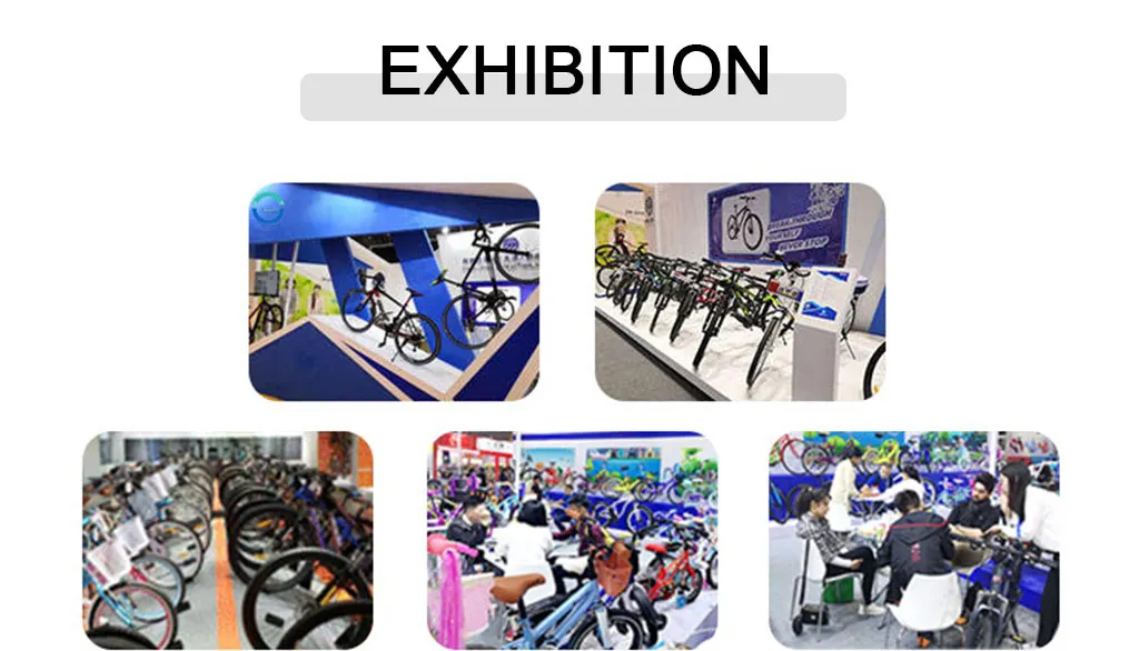 10 Inch Foldable 2 Wheel Fast Electric Scooter 500W Brushless DC Motor Scooter