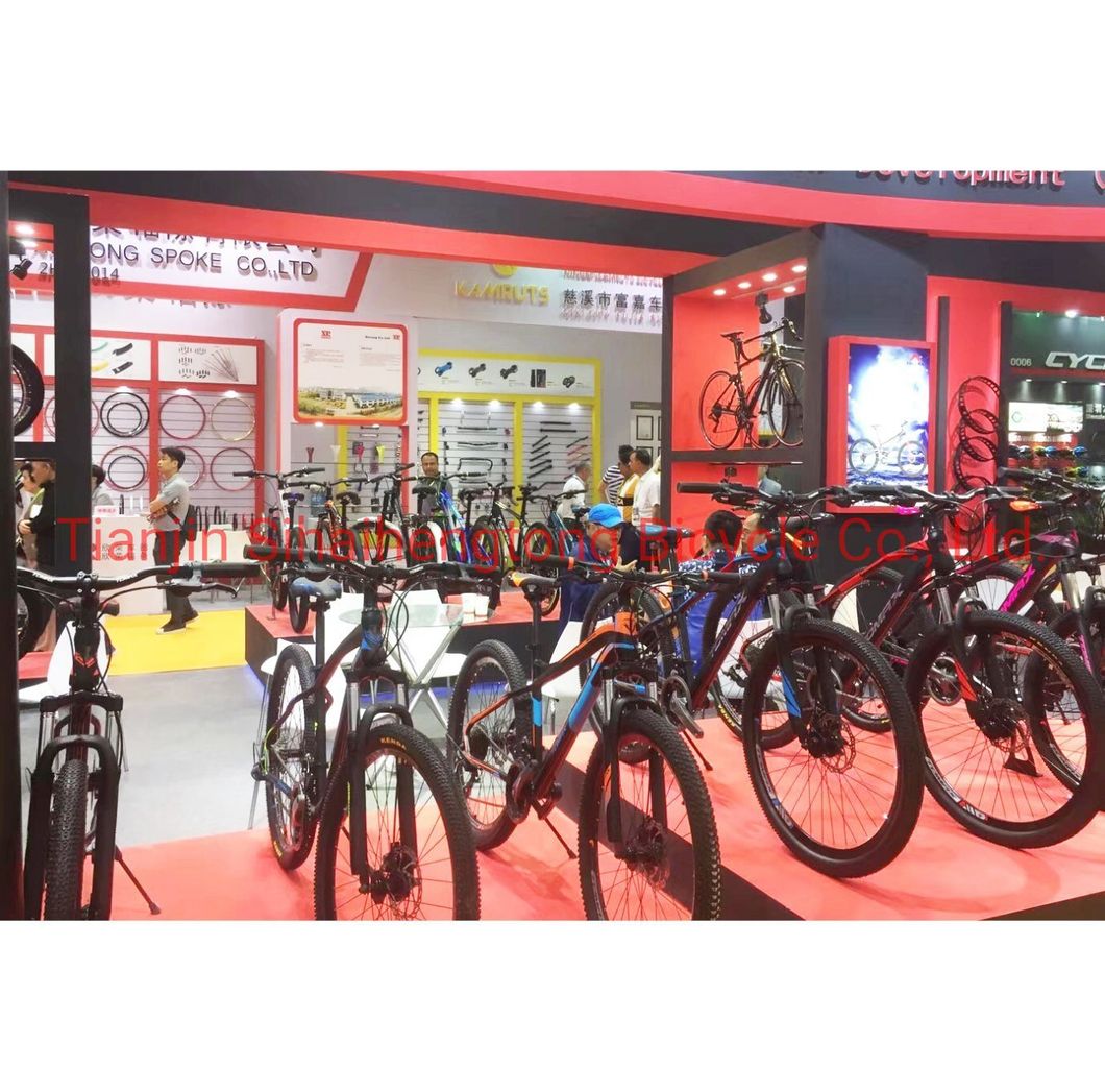 Suspension Cycles with Alloy Rims (LYQ4286)