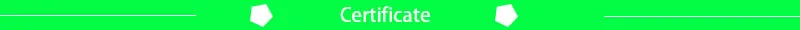 Professional CCS1 Virtual Socketasap Adapter