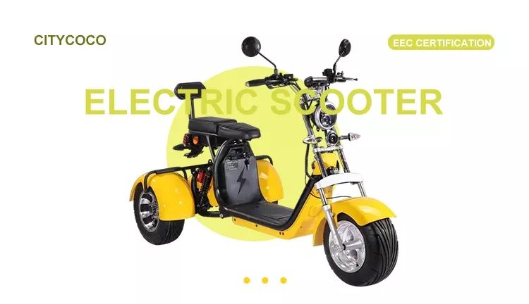 2022 Coc/EEC Standard Electric Tricycles Scooter for Citycoco Adult 3 Wheel Electric Golf Scooter Adult