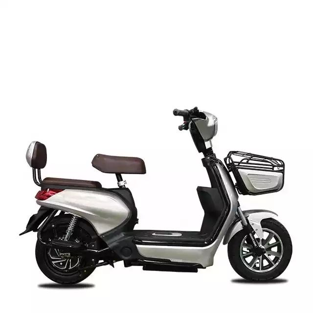 Chinese New Model with 350W Power Electric Bicycle