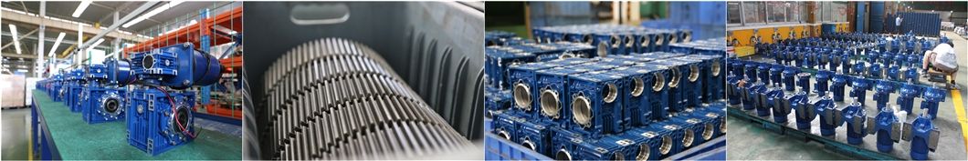 RV Series Worm Wheel Gearbox with Motor