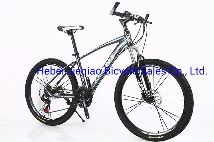 26 Inch Aluminum Alloy Mountain Bike Speed/Disc Brake Bicycle 21/4/7/30 Speed Student Bike