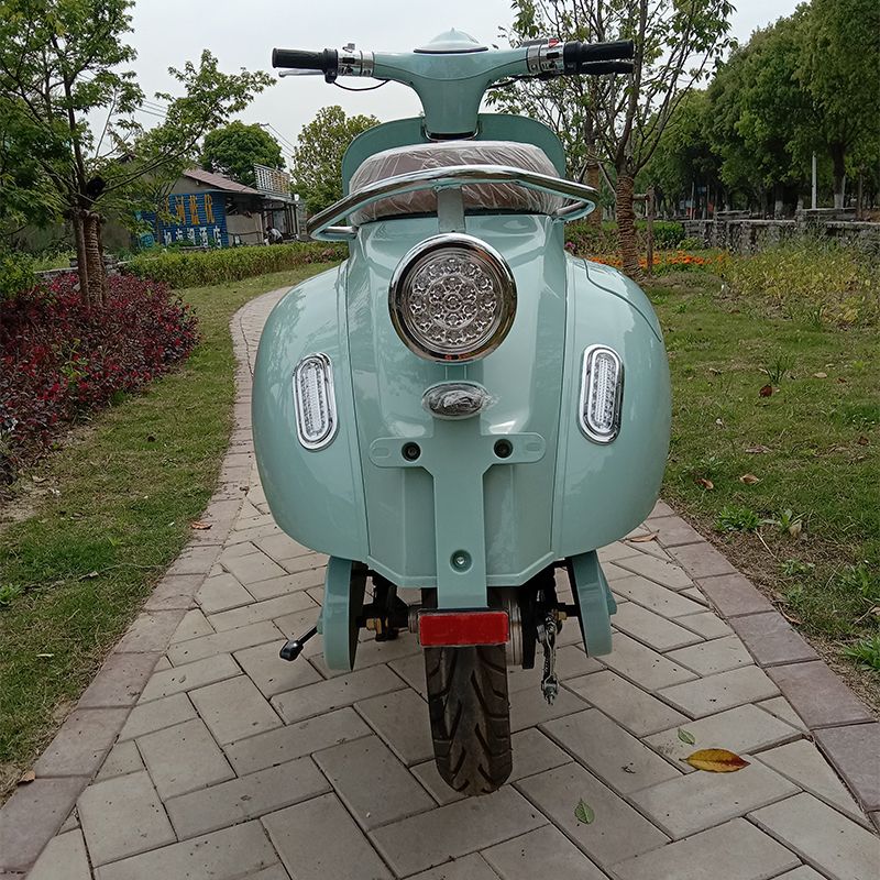 Big Style Electric Motorcycle with Double Disc and High Catalogue Fast Speed