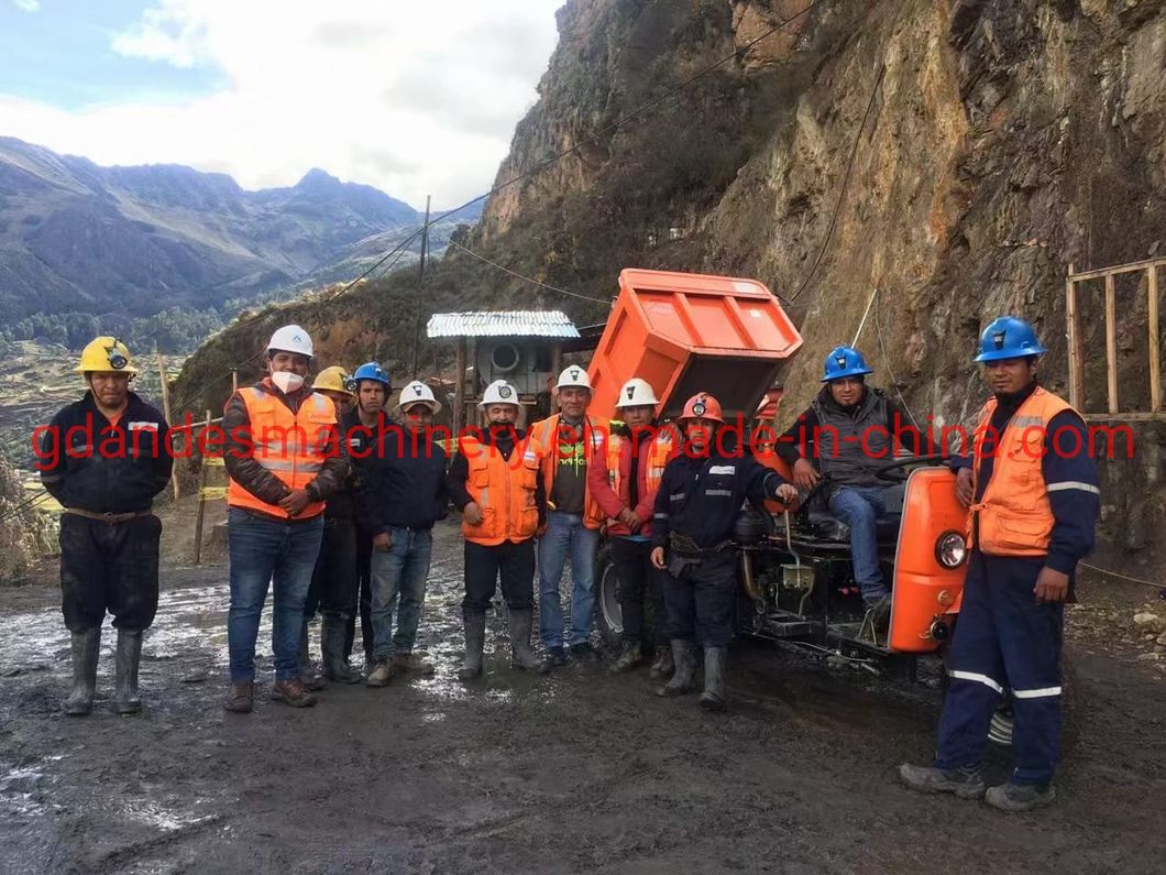 Factory Export Novel Design Electric 1-3 Tons Mini Dumper for Construction